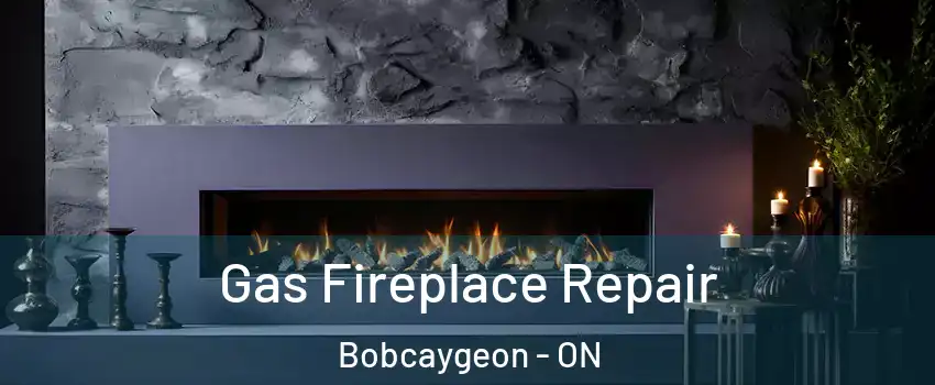  Gas Fireplace Repair Bobcaygeon - ON