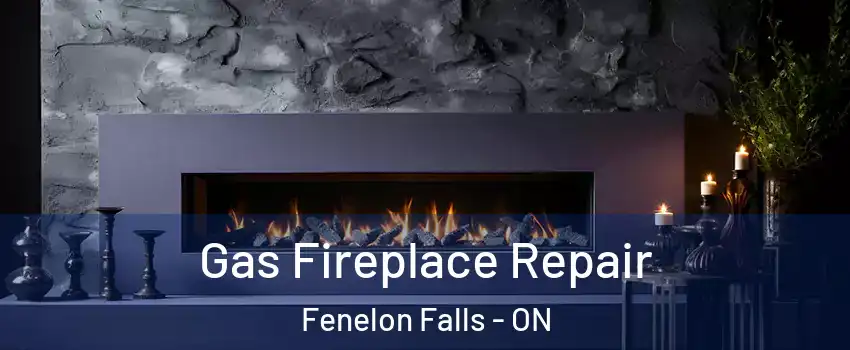  Gas Fireplace Repair Fenelon Falls - ON