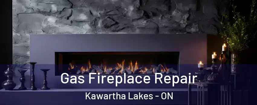  Gas Fireplace Repair Kawartha Lakes - ON