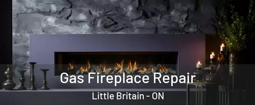  Gas Fireplace Repair Little Britain - ON