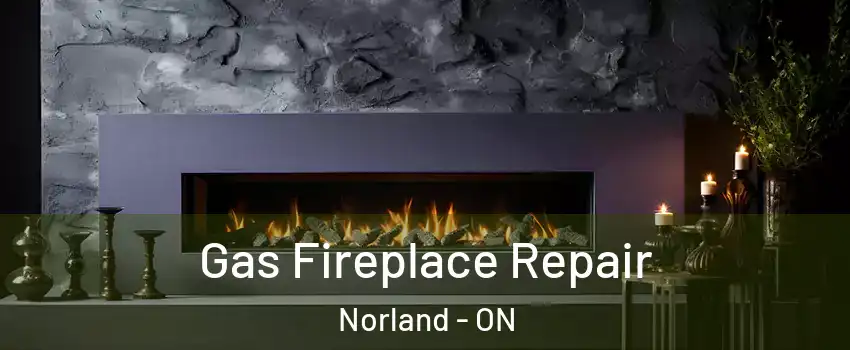  Gas Fireplace Repair Norland - ON