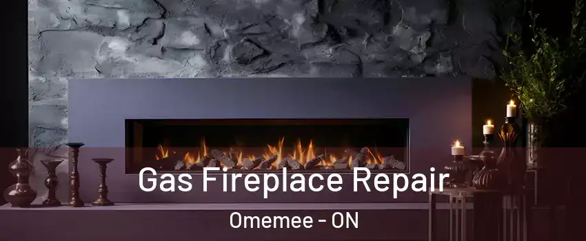  Gas Fireplace Repair Omemee - ON