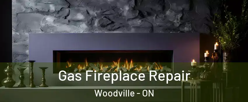  Gas Fireplace Repair Woodville - ON
