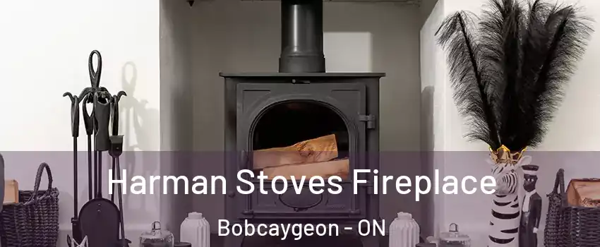  Harman Stoves Fireplace Bobcaygeon - ON