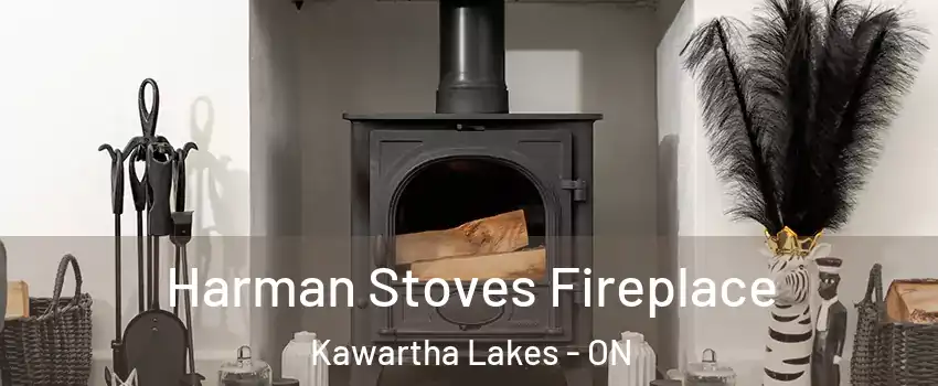  Harman Stoves Fireplace Kawartha Lakes - ON