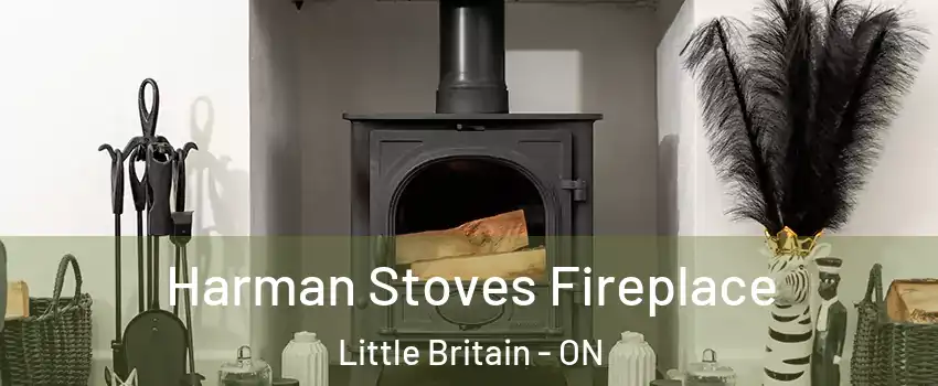  Harman Stoves Fireplace Little Britain - ON