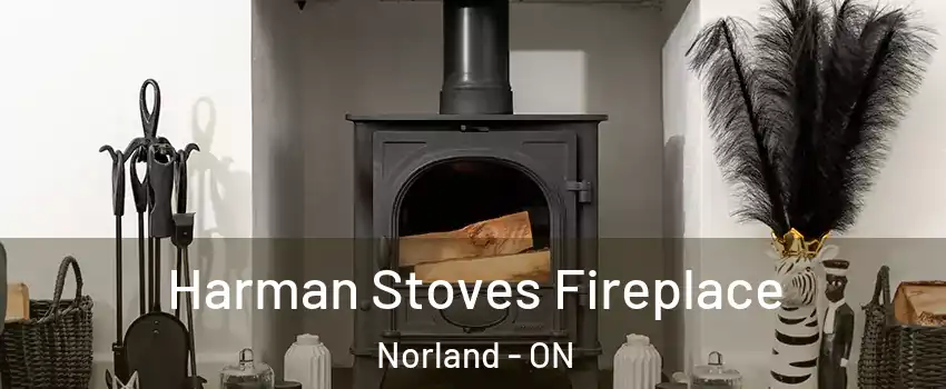  Harman Stoves Fireplace Norland - ON
