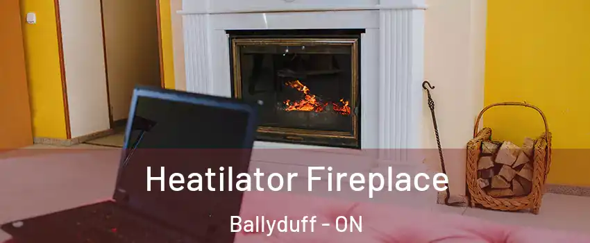  Heatilator Fireplace Ballyduff - ON