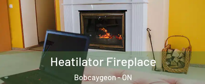  Heatilator Fireplace Bobcaygeon - ON
