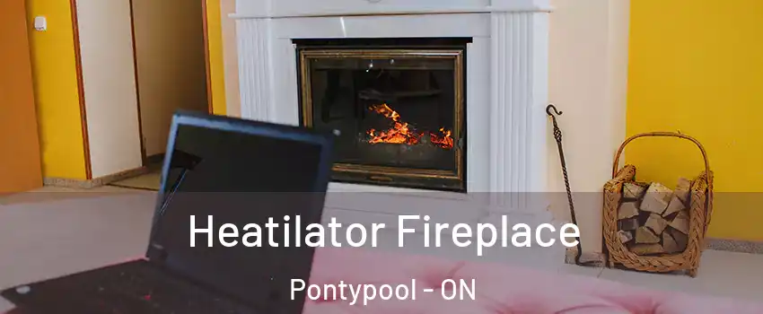 Heatilator Fireplace Pontypool - ON