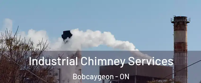  Industrial Chimney Services Bobcaygeon - ON