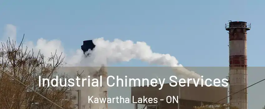  Industrial Chimney Services Kawartha Lakes - ON