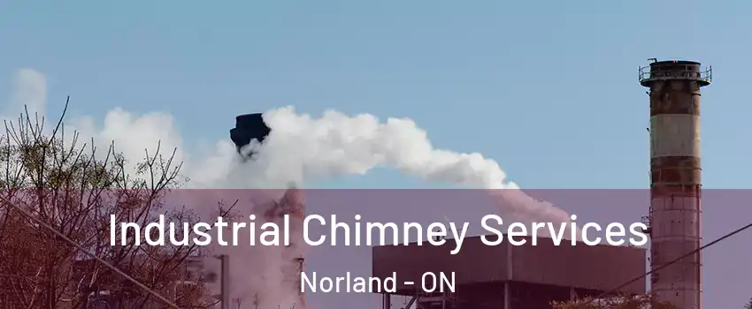  Industrial Chimney Services Norland - ON