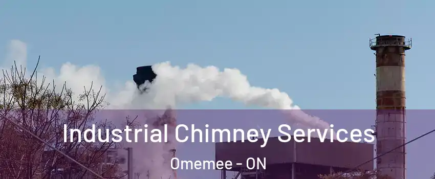  Industrial Chimney Services Omemee - ON