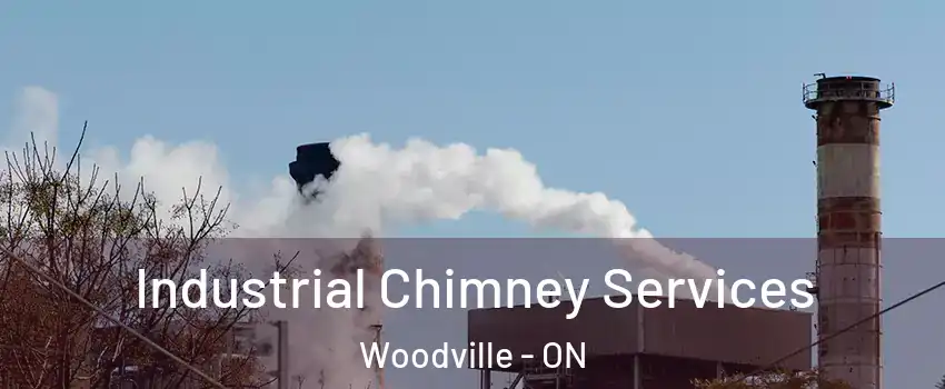  Industrial Chimney Services Woodville - ON