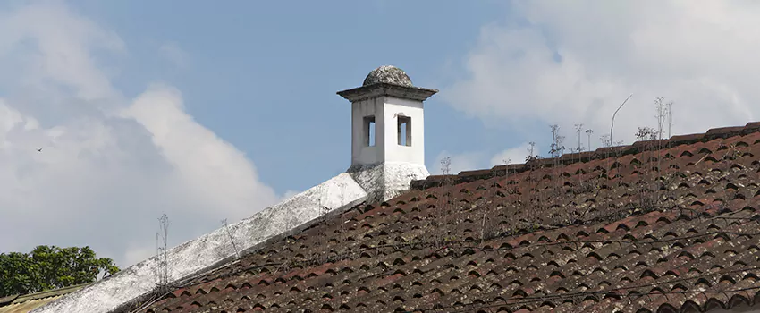 Wind-Resistant Chimney Caps Installation and Repair Services in Bobcaygeon, Ontario