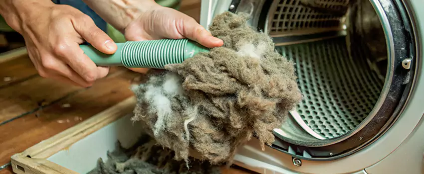Best Dryer Lint Removal Company in Bobcaygeon, Ontario