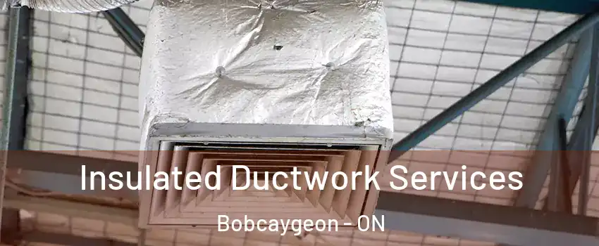  Insulated Ductwork Services Bobcaygeon - ON
