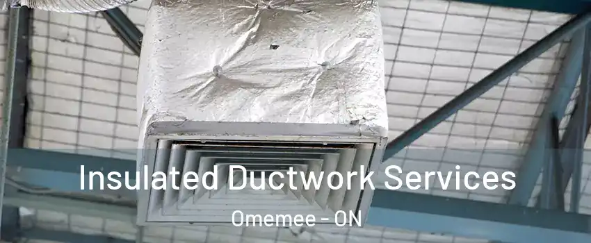  Insulated Ductwork Services Omemee - ON