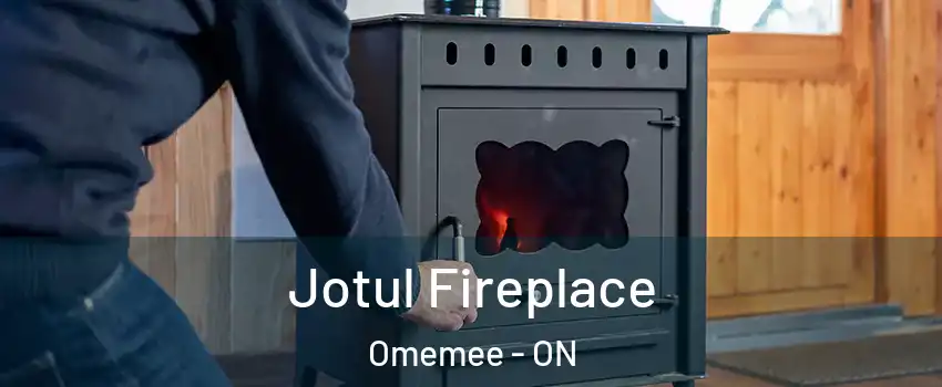  Jotul Fireplace Omemee - ON
