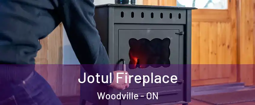  Jotul Fireplace Woodville - ON