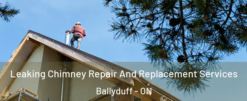  Leaking Chimney Repair And Replacement Services Ballyduff - ON