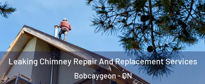  Leaking Chimney Repair And Replacement Services Bobcaygeon - ON