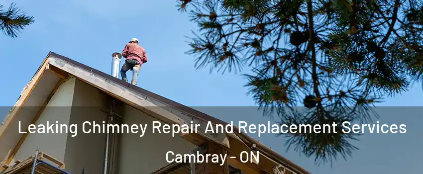  Leaking Chimney Repair And Replacement Services Cambray - ON