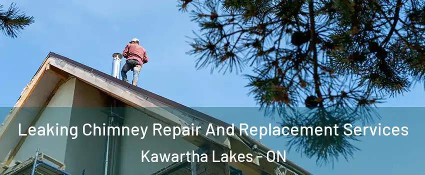  Leaking Chimney Repair And Replacement Services Kawartha Lakes - ON