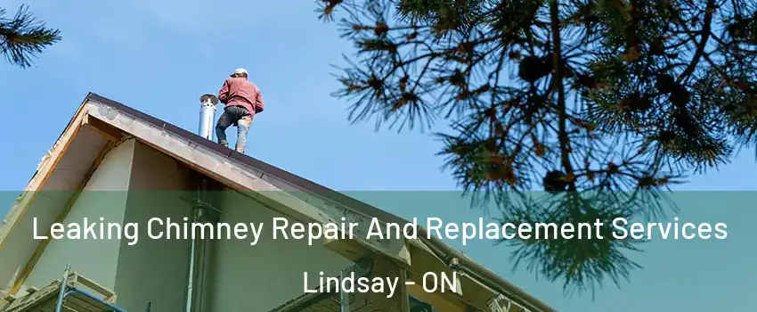  Leaking Chimney Repair And Replacement Services Lindsay - ON