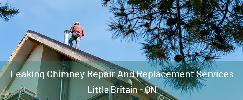  Leaking Chimney Repair And Replacement Services Little Britain - ON