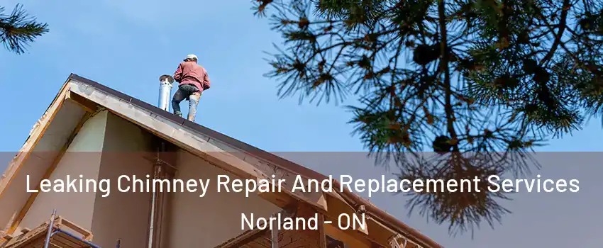  Leaking Chimney Repair And Replacement Services Norland - ON