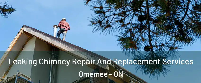  Leaking Chimney Repair And Replacement Services Omemee - ON