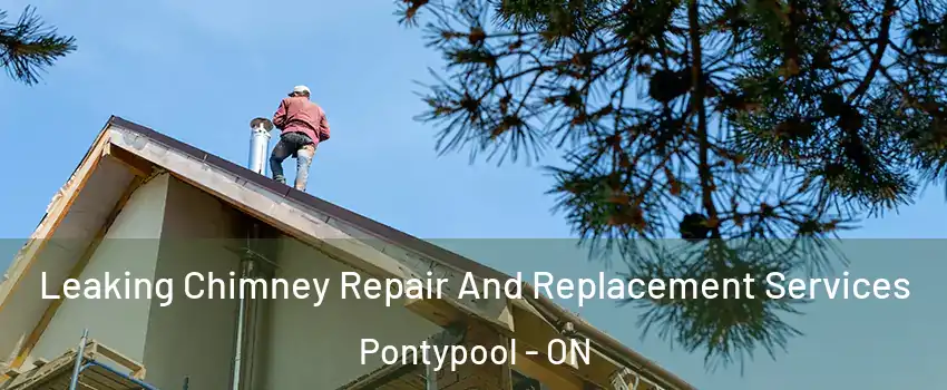  Leaking Chimney Repair And Replacement Services Pontypool - ON