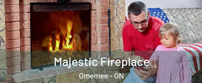  Majestic Fireplace Omemee - ON