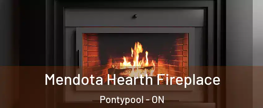 Mendota Hearth Fireplace Pontypool - ON