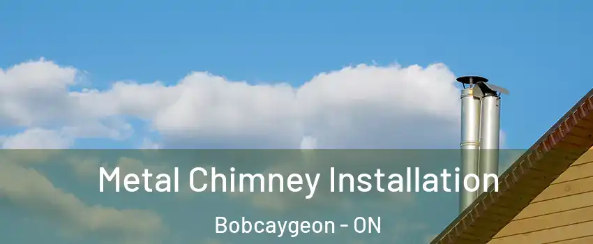  Metal Chimney Installation Bobcaygeon - ON