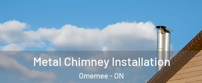  Metal Chimney Installation Omemee - ON