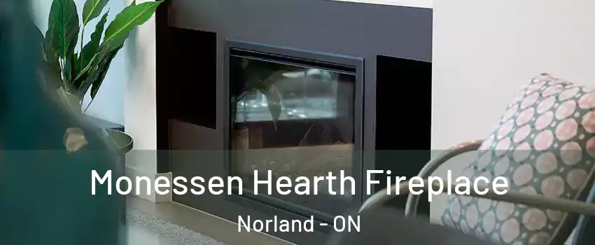  Monessen Hearth Fireplace Norland - ON