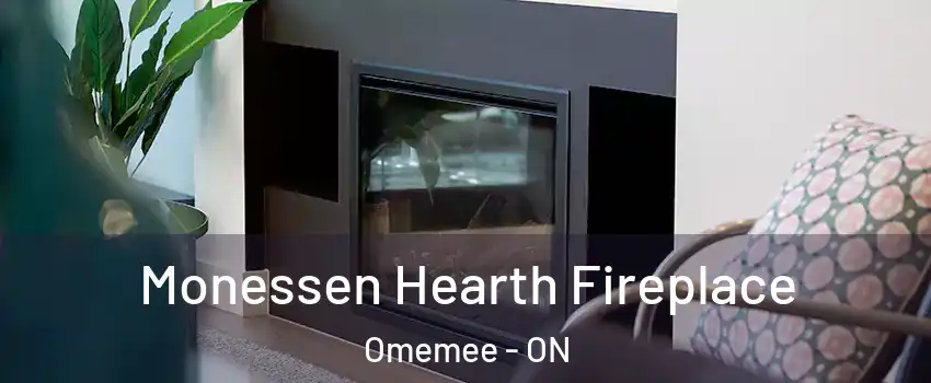  Monessen Hearth Fireplace Omemee - ON