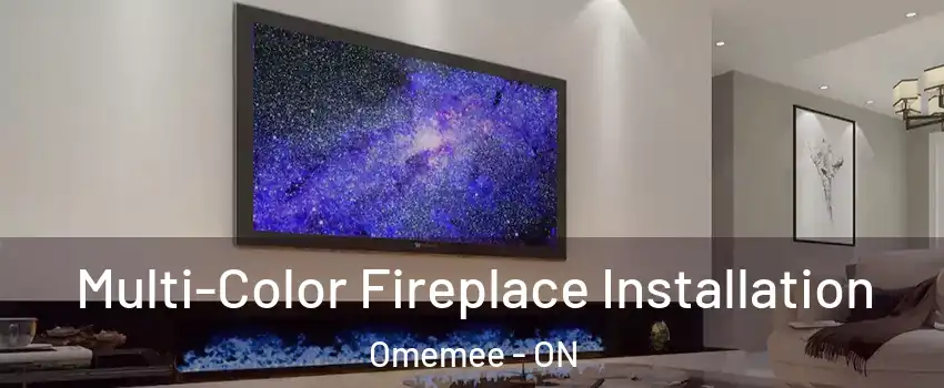  Multi-Color Fireplace Installation Omemee - ON