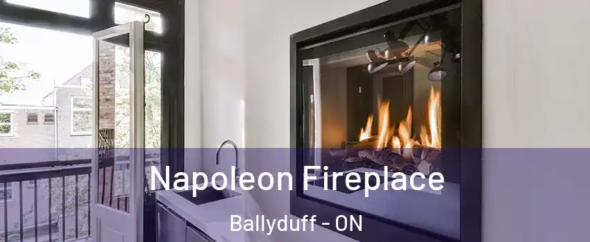  Napoleon Fireplace Ballyduff - ON