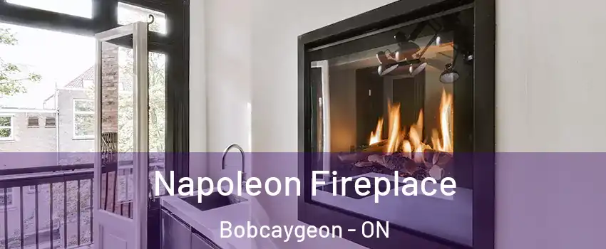  Napoleon Fireplace Bobcaygeon - ON