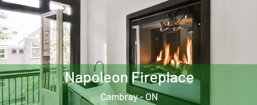  Napoleon Fireplace Cambray - ON