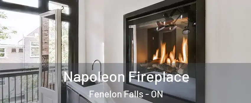  Napoleon Fireplace Fenelon Falls - ON