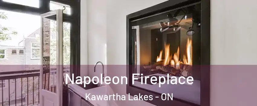  Napoleon Fireplace Kawartha Lakes - ON