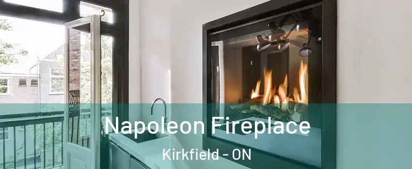  Napoleon Fireplace Kirkfield - ON