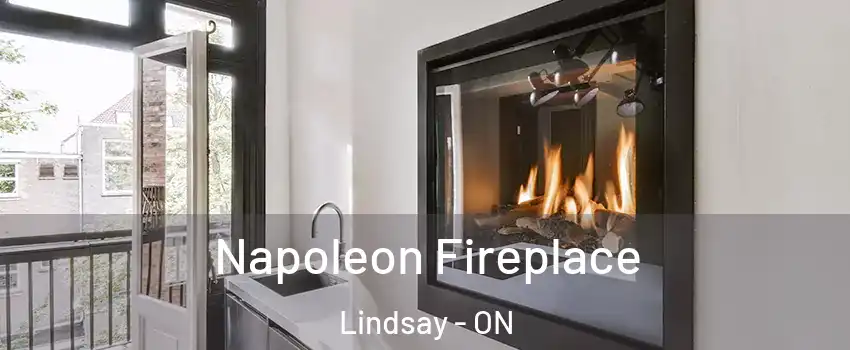  Napoleon Fireplace Lindsay - ON