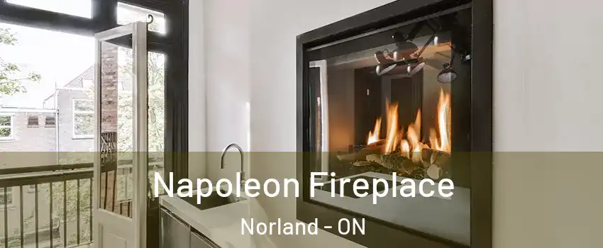 Napoleon Fireplace Norland - ON