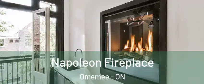  Napoleon Fireplace Omemee - ON